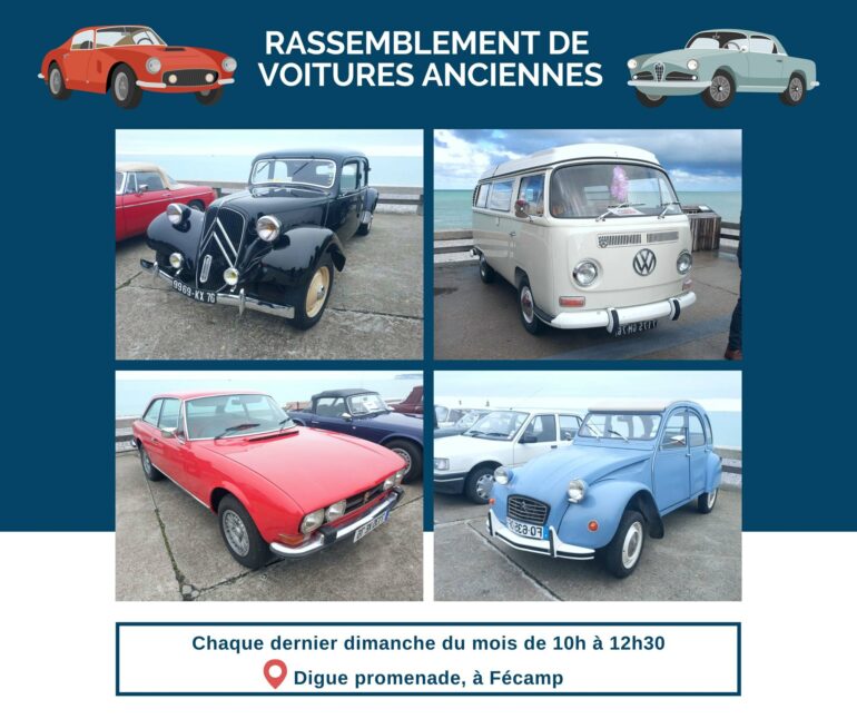 Puce collection en 76